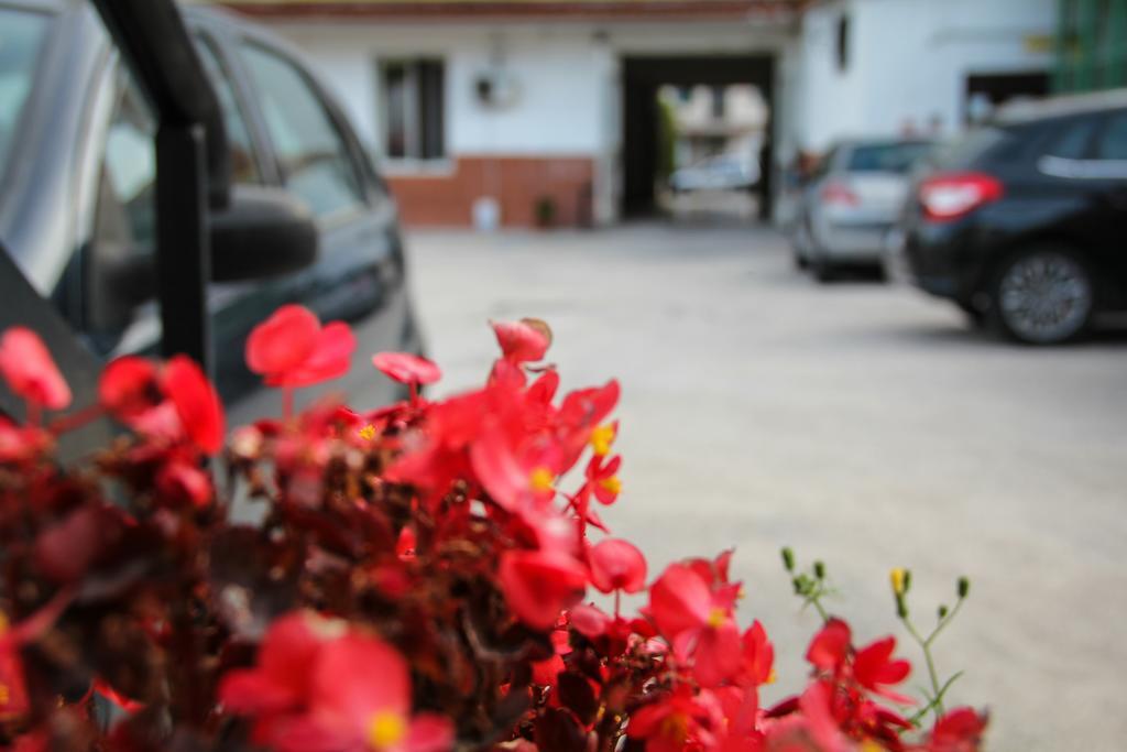 Hotel Santa Marta ปอซซุออลี ภายนอก รูปภาพ